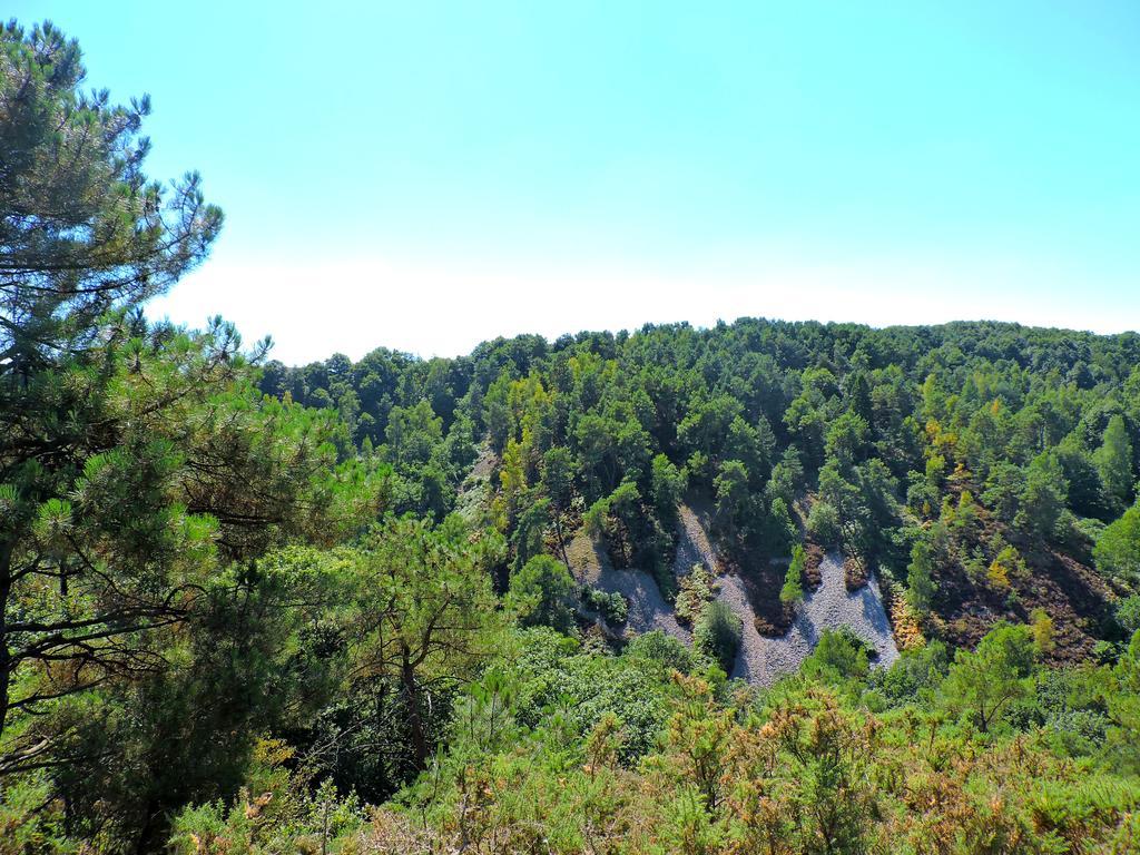 Gite Le Bourgneuf Fresnay-sur-Sarthe Dış mekan fotoğraf