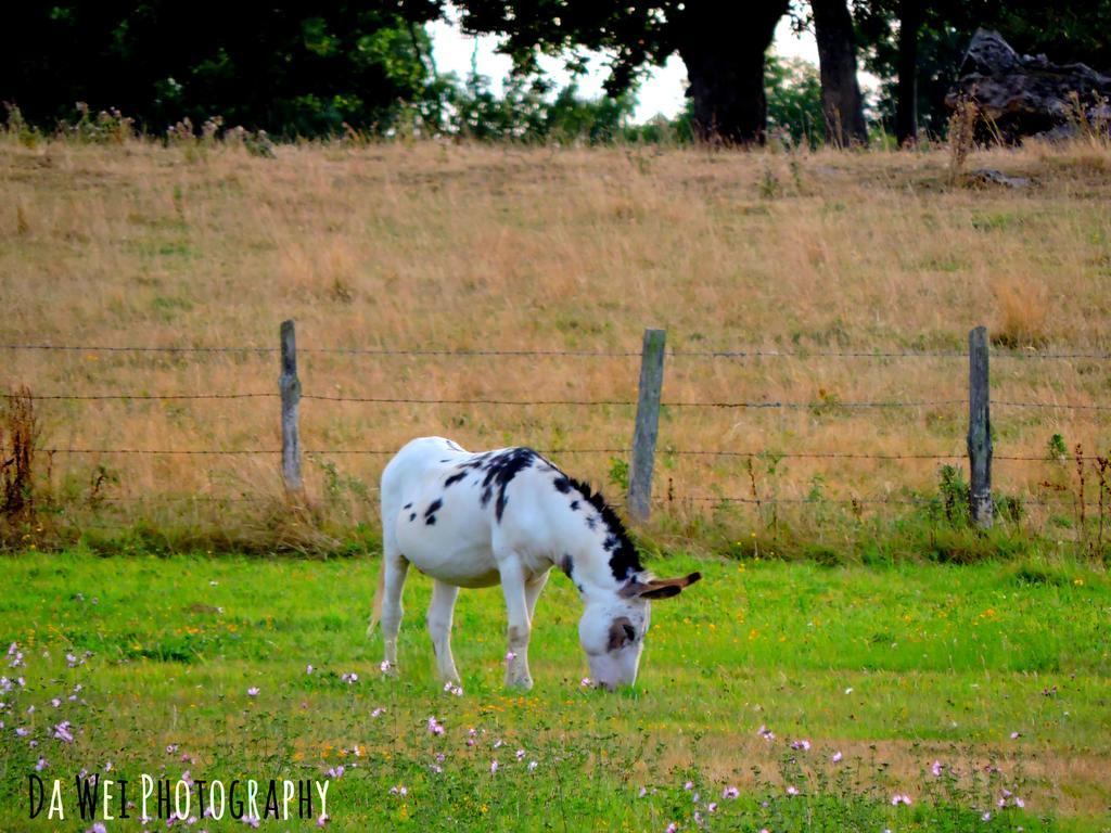 Gite Le Bourgneuf Fresnay-sur-Sarthe Dış mekan fotoğraf
