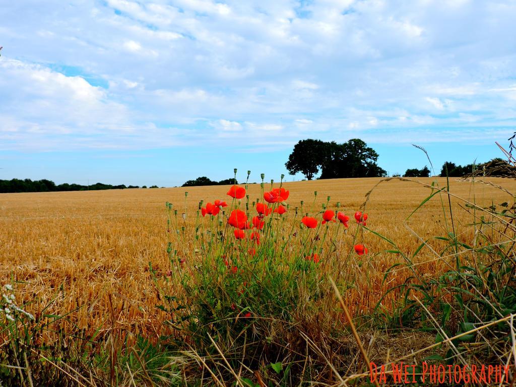 Gite Le Bourgneuf Fresnay-sur-Sarthe Dış mekan fotoğraf