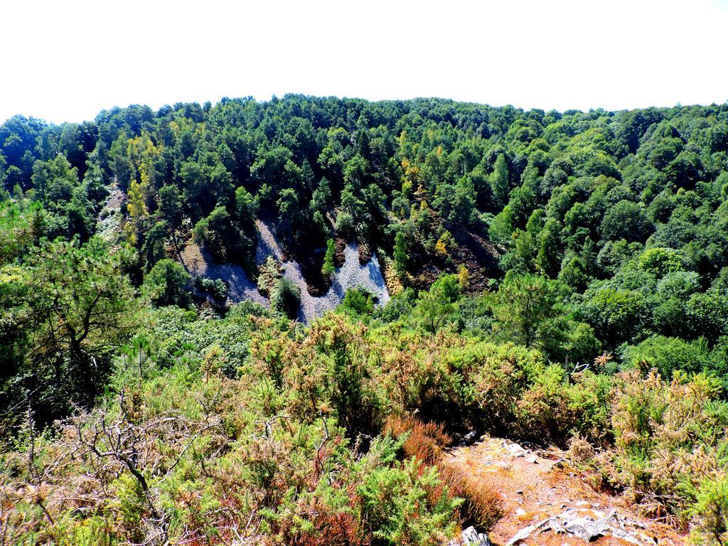 Gite Le Bourgneuf Fresnay-sur-Sarthe Dış mekan fotoğraf