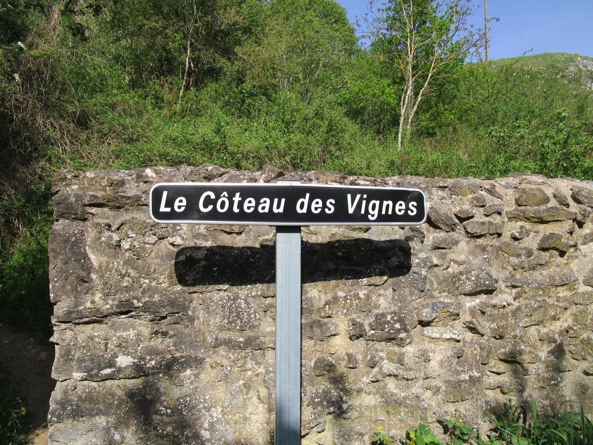 Gite Le Bourgneuf Fresnay-sur-Sarthe Dış mekan fotoğraf